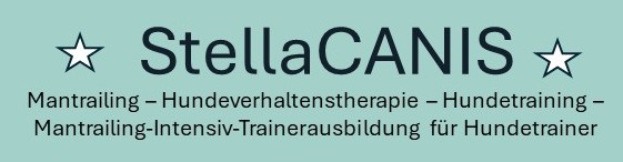 Logo-Elementor-Ausbildung-Kopie